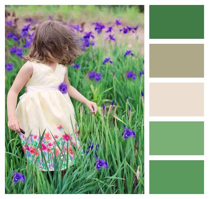 Summer Little Girl In Wind Flowers Image